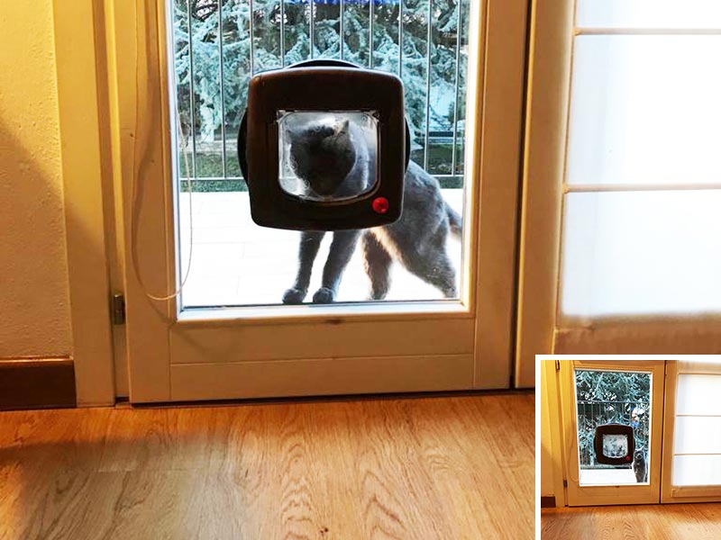 Porte cani gatti vetro 
